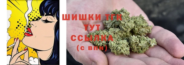 крисы Корсаков