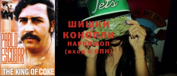 крисы Корсаков