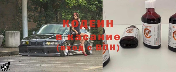 крисы Корсаков