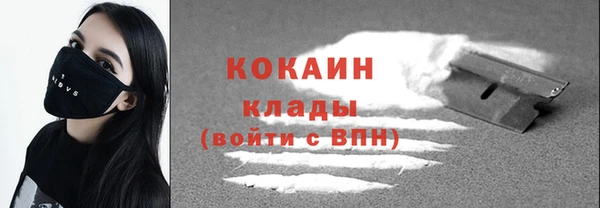 крисы Корсаков