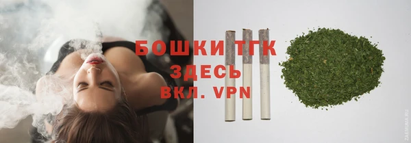 крисы Корсаков