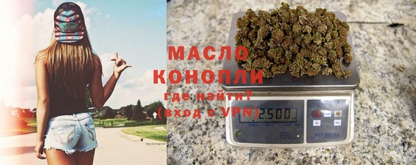 крисы Корсаков