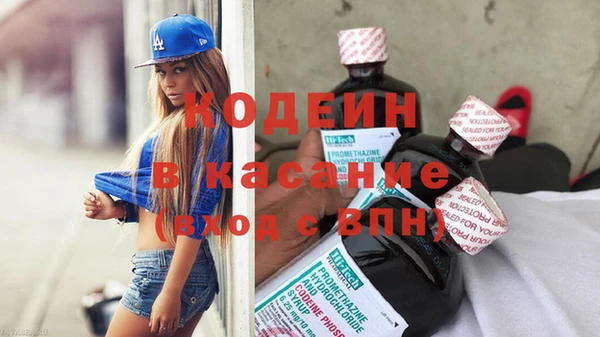 индика Кодинск