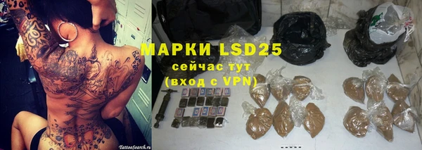 крисы Корсаков