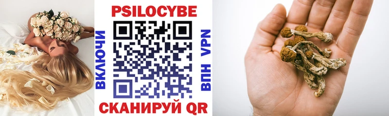 Псилоцибиновые грибы GOLDEN TEACHER  закладки  Сольцы 